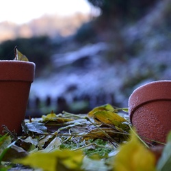 2016-12 France/Dinan/DSC_0131.JPG